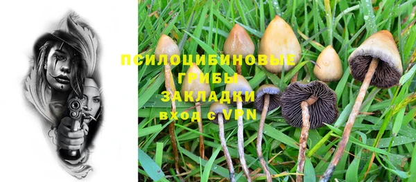 стаф Абаза
