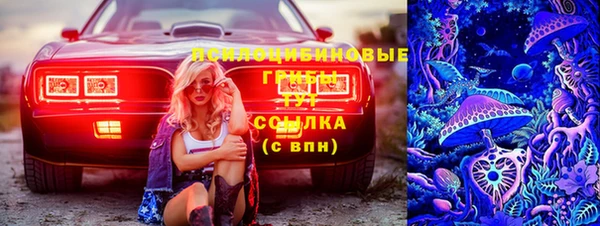 стаф Абаза