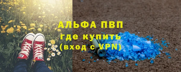 стаф Абаза
