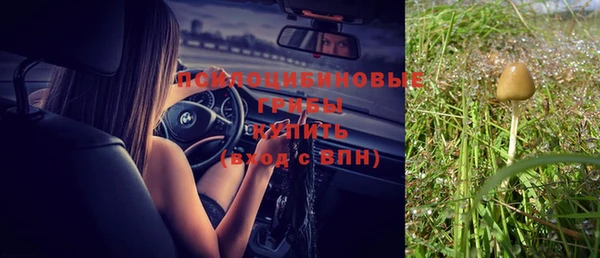 амф Абдулино