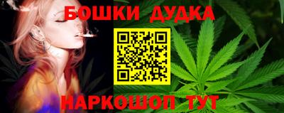 PSILOCYBIN Нарткала