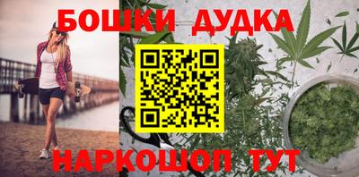 крисы Магадан