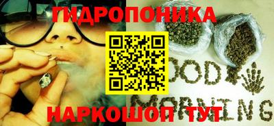 прущие грибы Наро-Фоминск