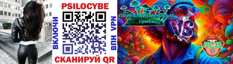 Галлюциногенные грибы Psilocybine cubensis  Рассказово 