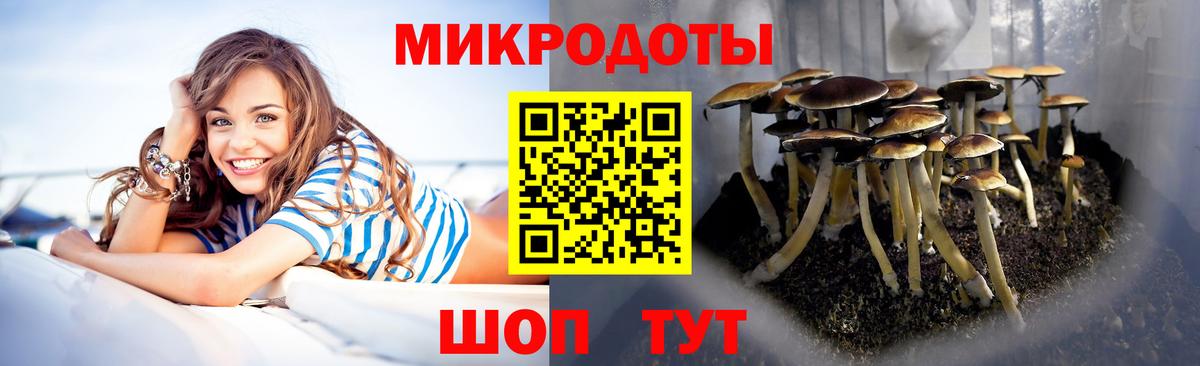 Псилоцибиновые грибы Cubensis  Галлюциногенные грибы Magic Shrooms  Рассказово  Вход с VPN 